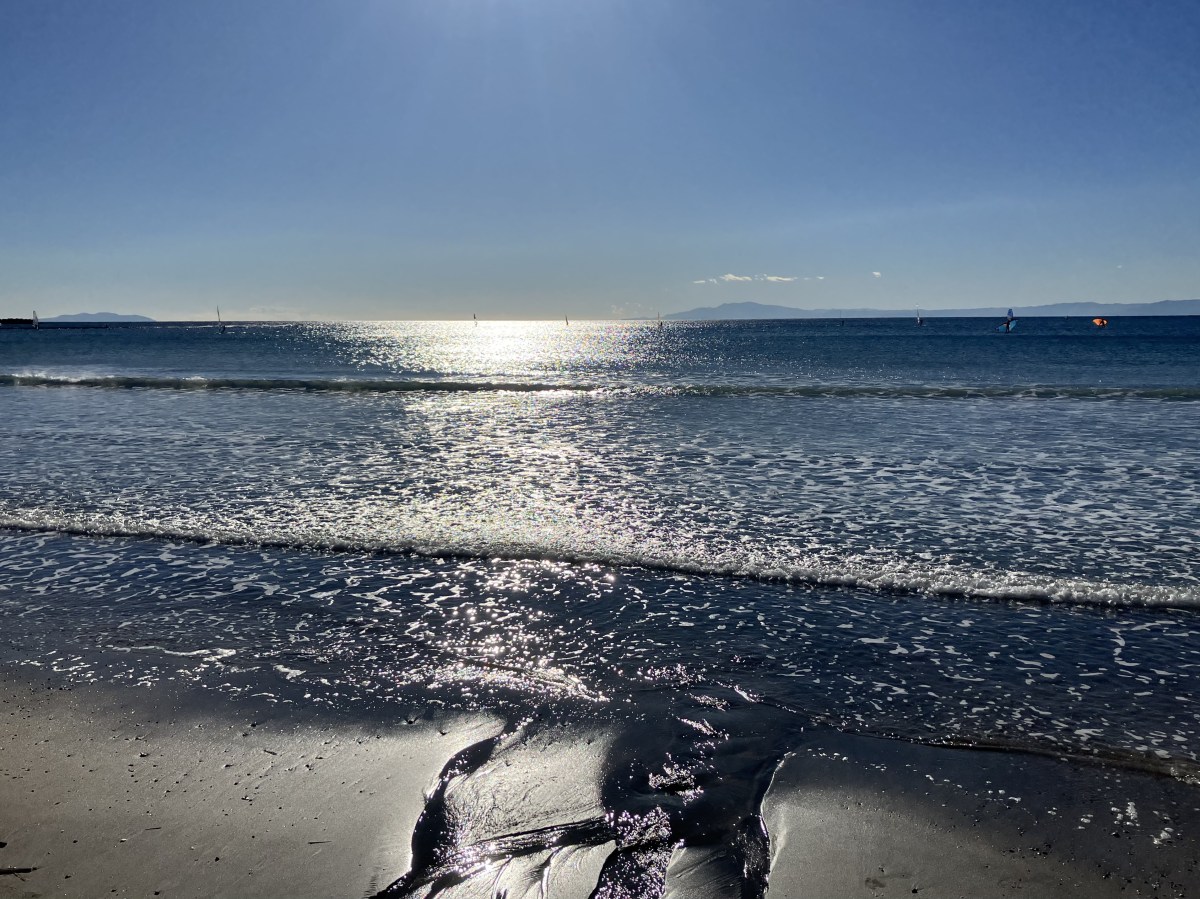 喜びの瞬間をとらえる