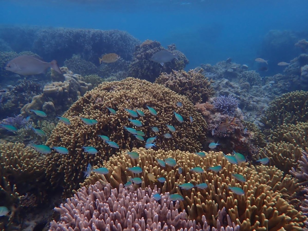 自然の中で過ごすこと